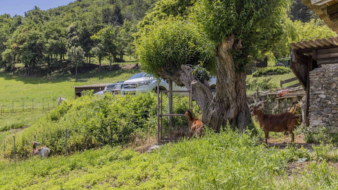 Photo of Outdoor in Roche-Saint-Secret