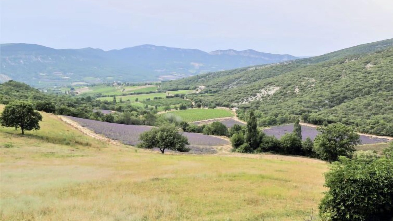 Photo of Outdoor in Roche-Saint-Secret
