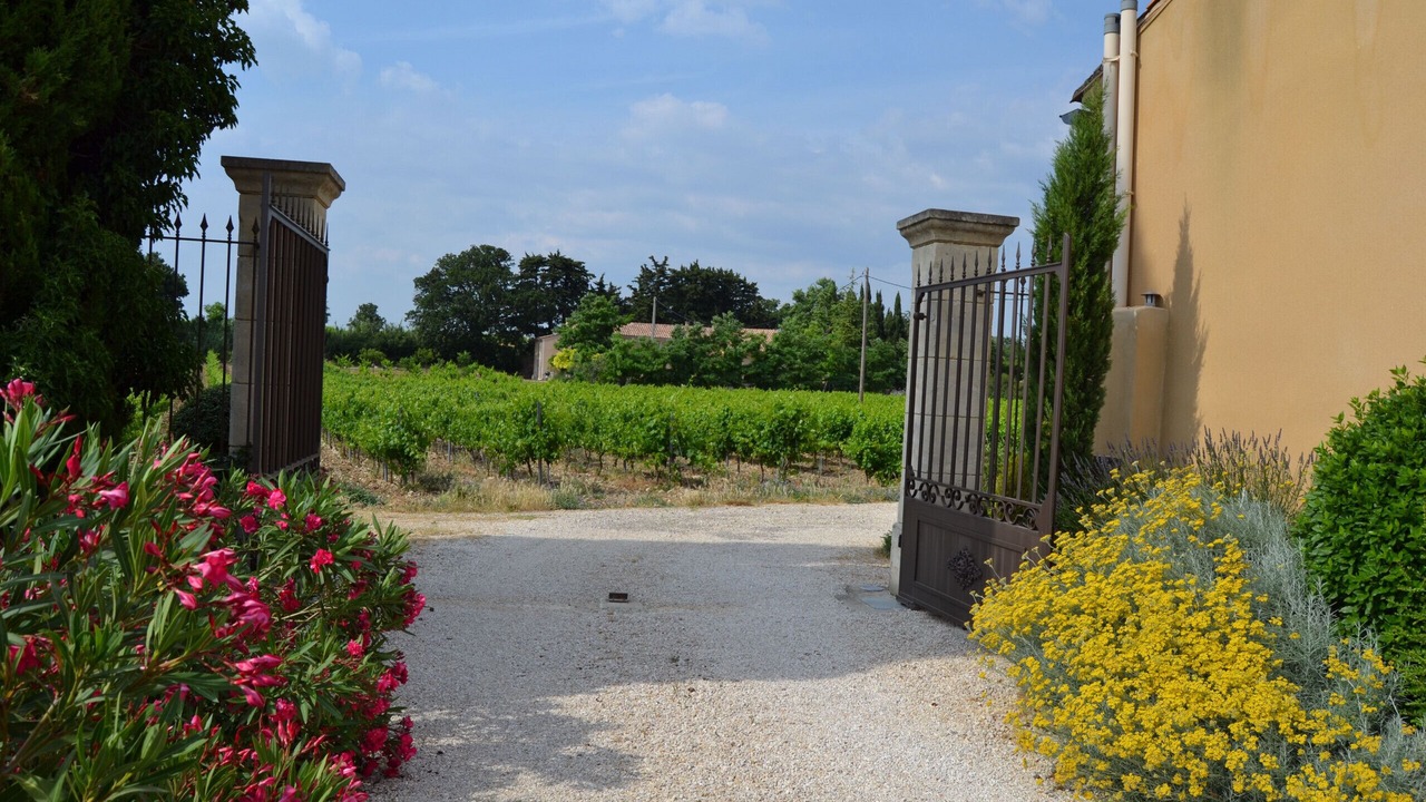 Photo of Outdoor in Violes