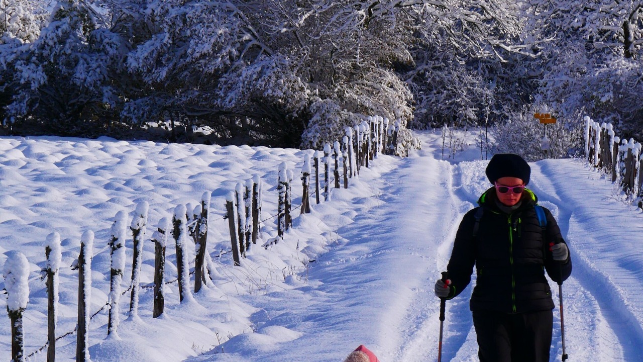 Photo of Outdoor in Chastreix