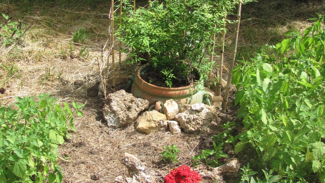 Photo of Outdoor in Roquebilliere