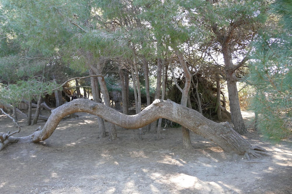Photo of Outdoor in Six-Fours-les-Plages