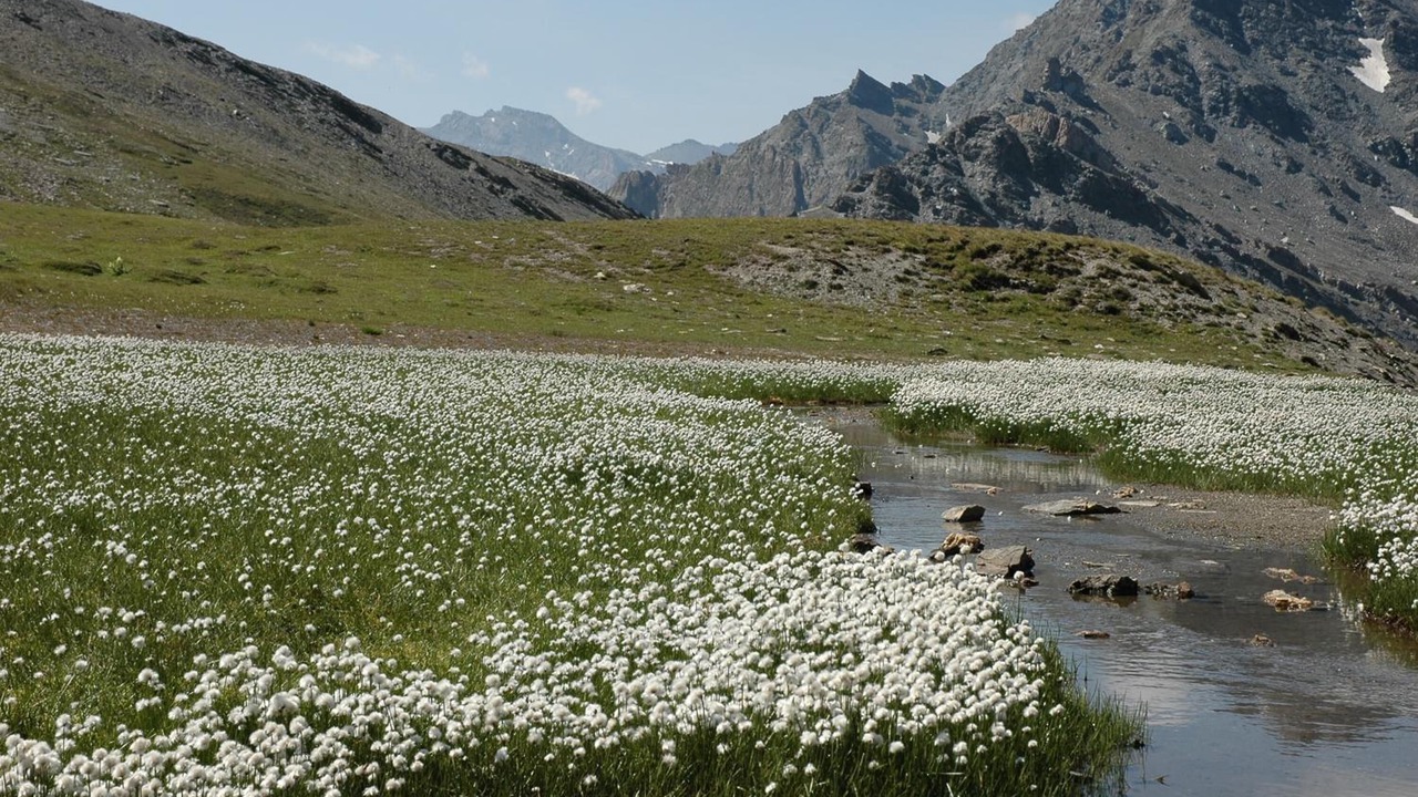Photo of Outdoor in Abries