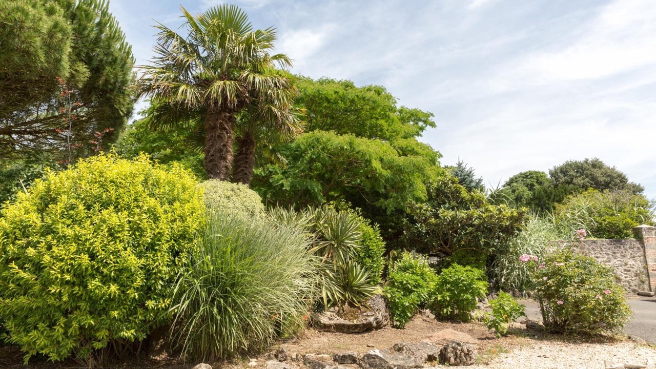 Photo of Outdoor in Bouin