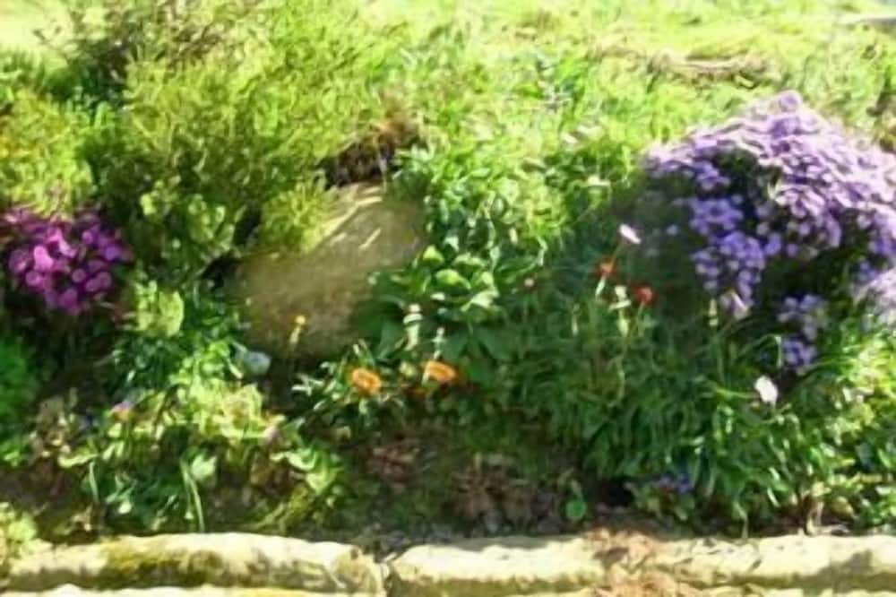 Photo of Outdoor in Plouneour-Menez