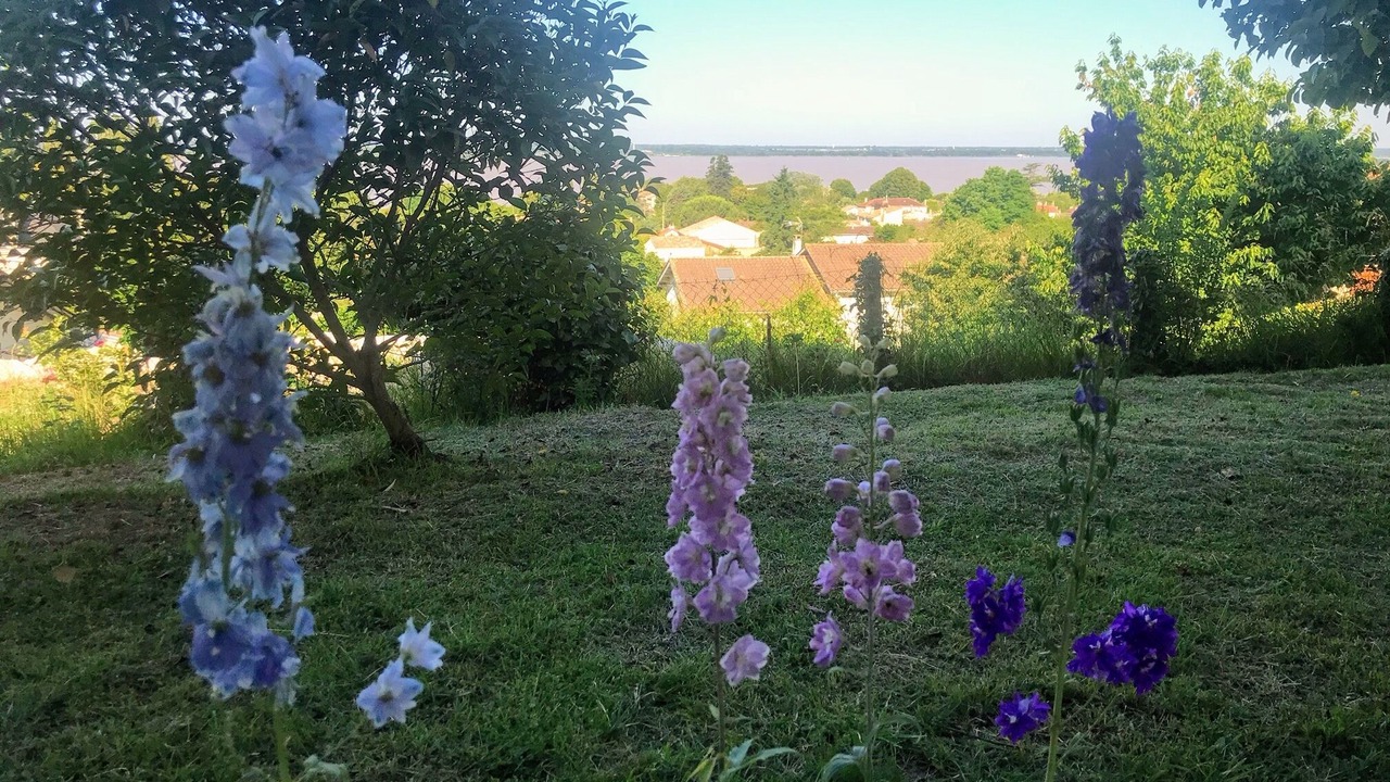 Photo of Others in Plassac