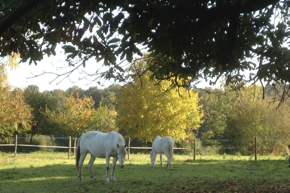 Photo of Outdoor in Saint-Quentin-les-Beaurepaire