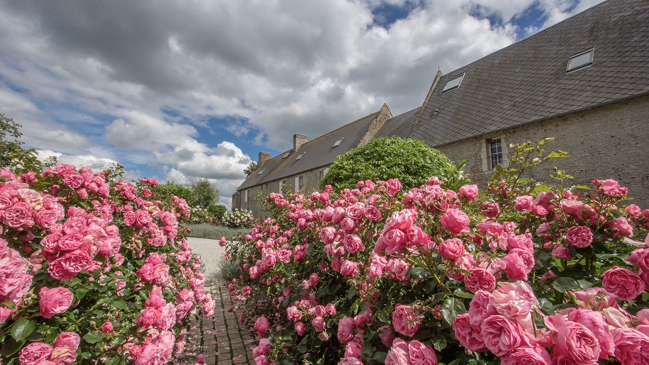 Photo of Outdoor in Crepon