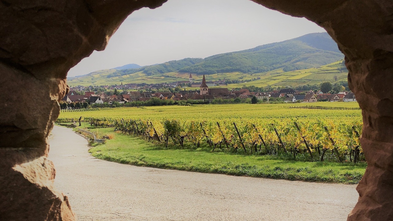 Photo of Others in Kientzheim