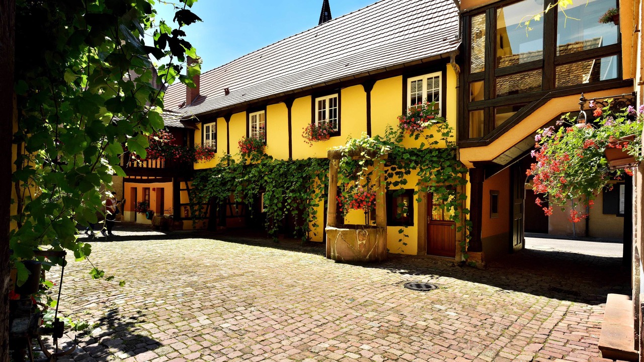 Photo of Outdoor in Kientzheim