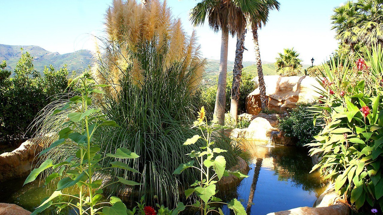 Photo of Outdoor in Bastia