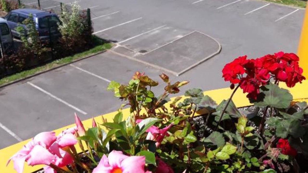 Photo of Outdoor in La Chapelle-Saint-Mesmin