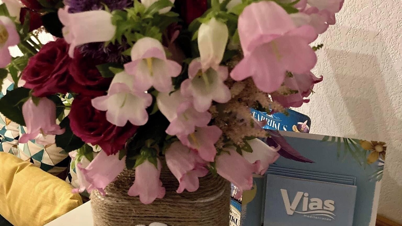 Photo of Others in Vias