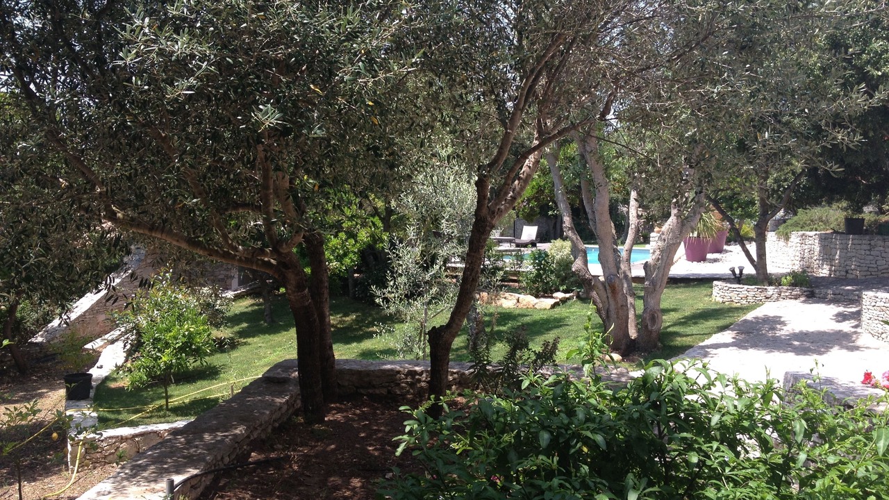 Photo of Outdoor in Bonifacio