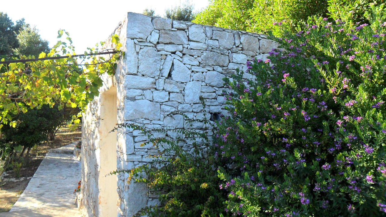 Photo of Outdoor in Bonifacio