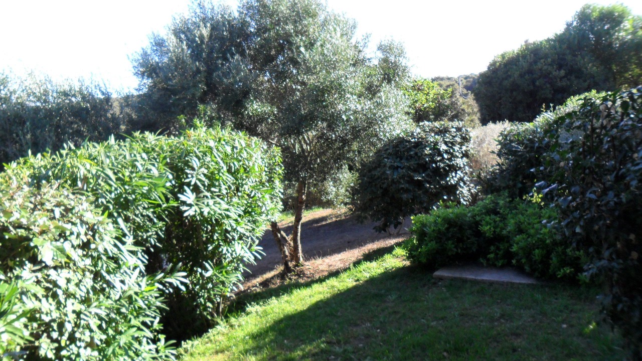 Photo of Outdoor in Bonifacio