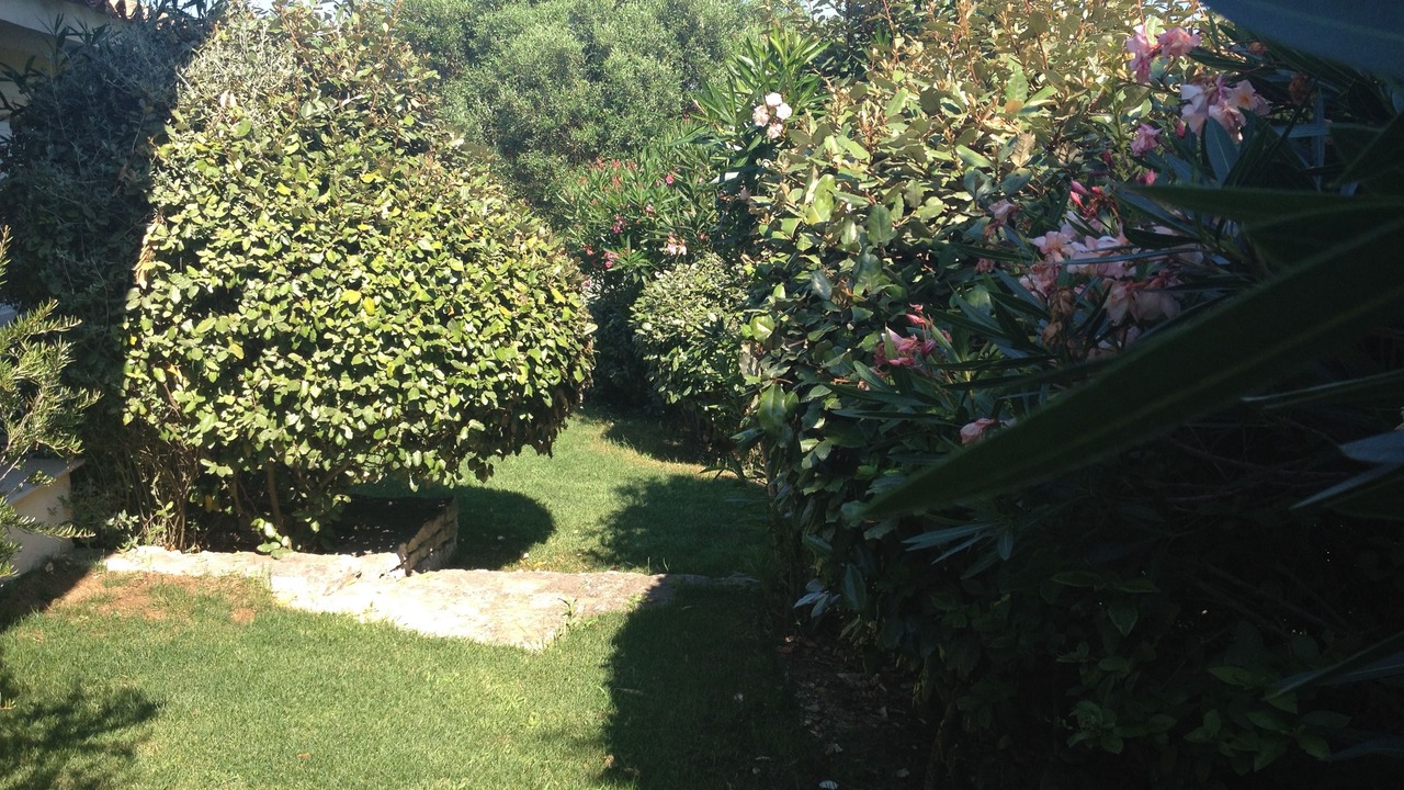 Photo of Outdoor in Bonifacio
