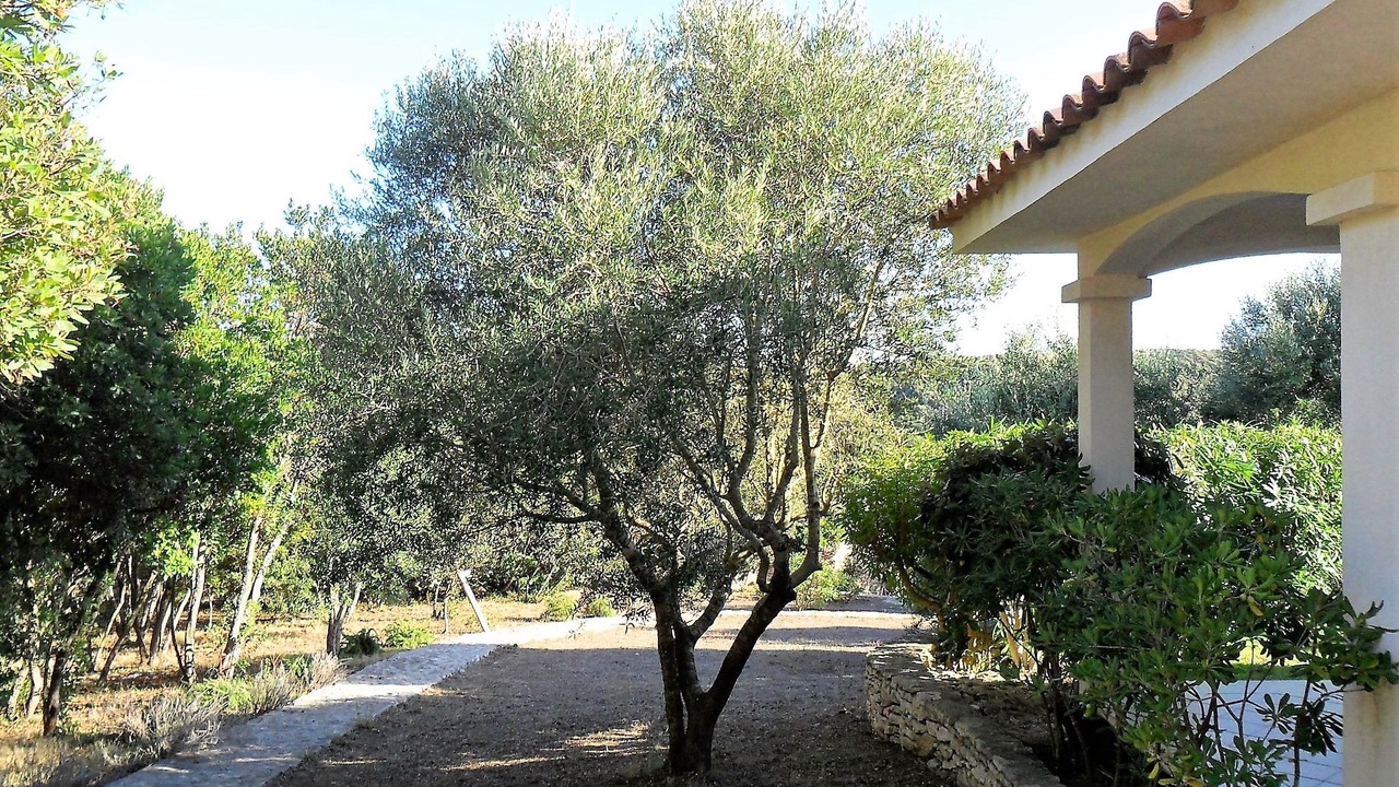 Photo of Outdoor in Bonifacio