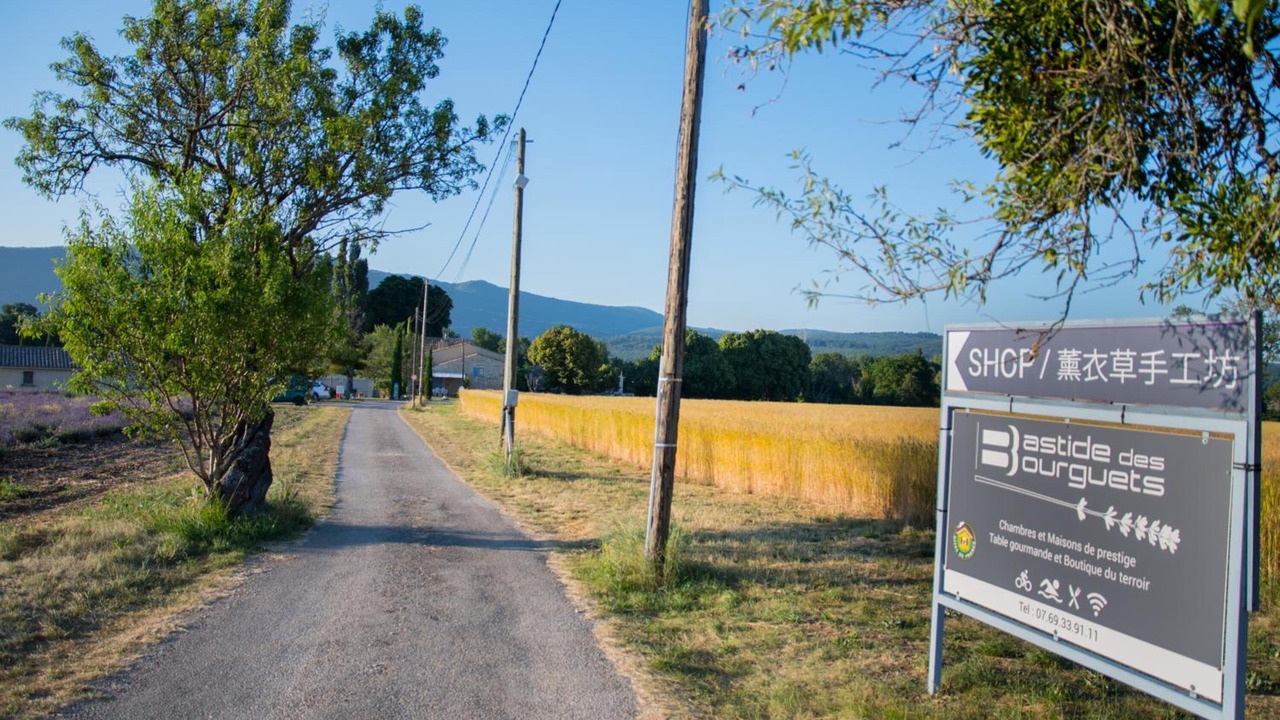 Photo of Outdoor in Sault