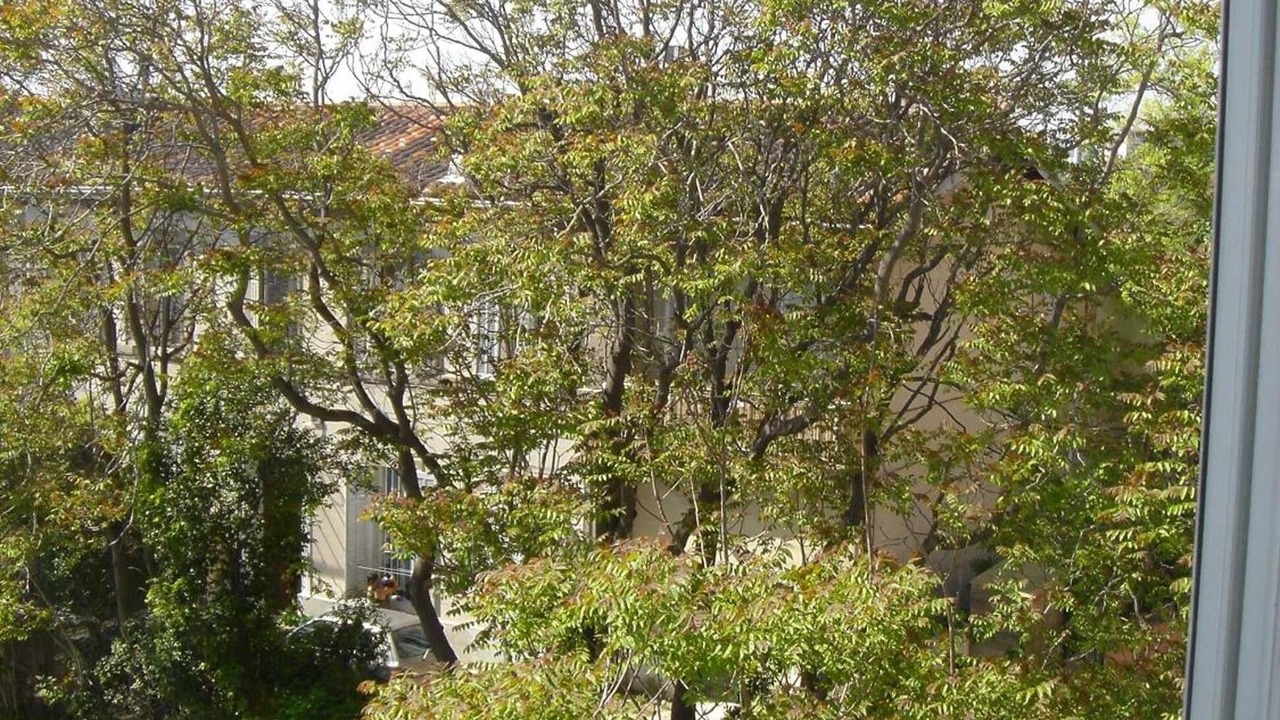 Photo of Outdoor in Les Chutes Lavie