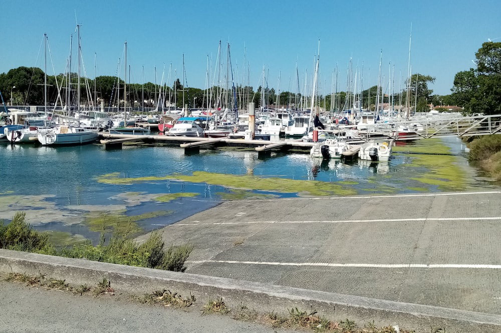 Photo of Others in Saint-Pierre-d'Oleron
