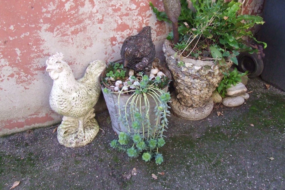 Photo of Outdoor in Vaulx En Velin Village
