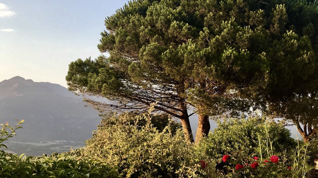 Photo of Outdoor in Viggianello