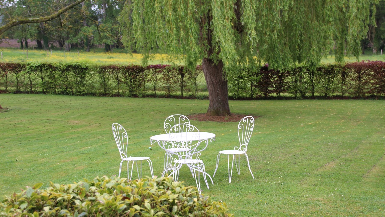 Photo of Outdoor in Teloche