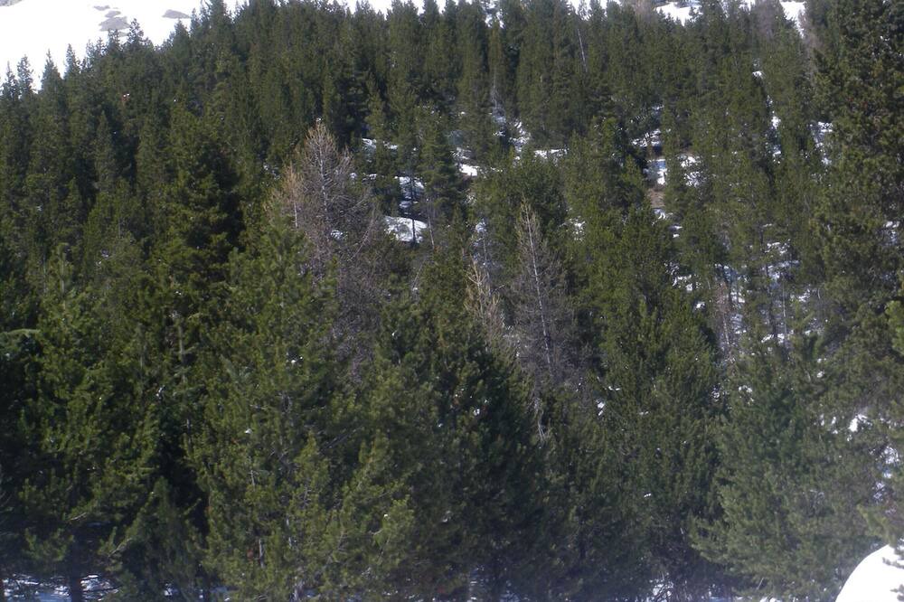 Photo of Others in Arvieux