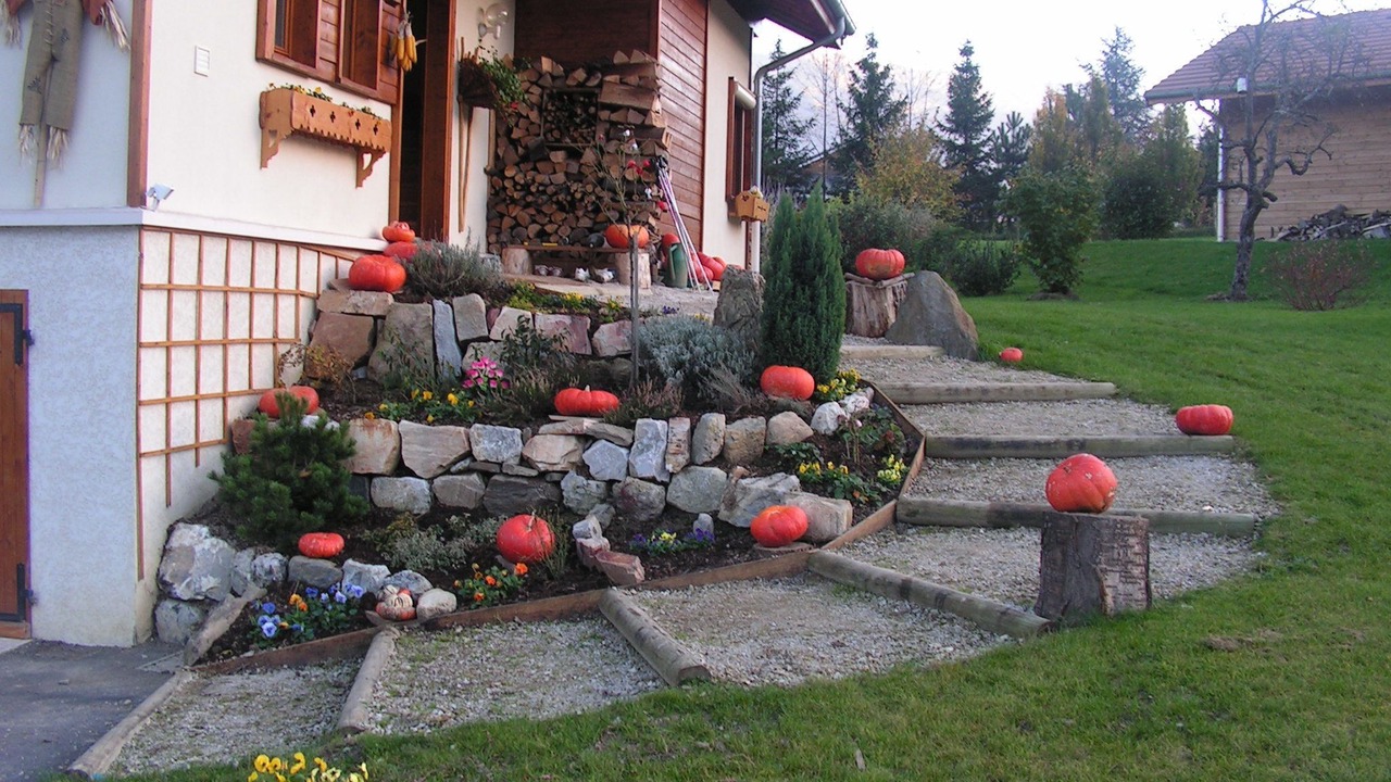 Photo of Outdoor in Mercury