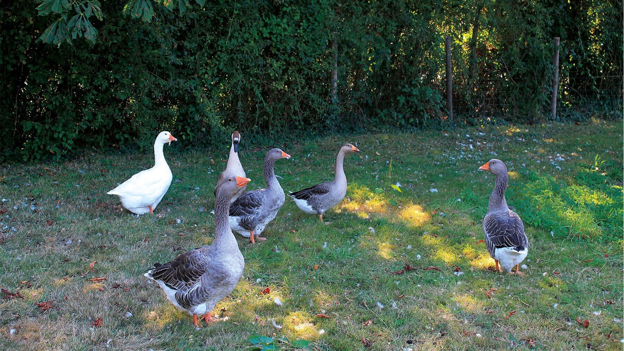 Photo of Outdoor in Suce-sur-Erdre