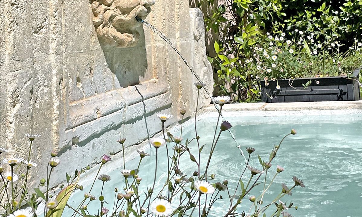 Photo of Outdoor in Salernes
