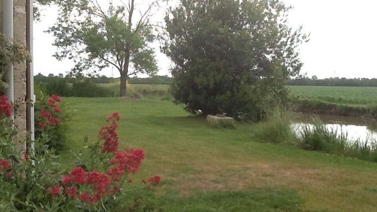 Photo of Outdoor in Cire-dAunis