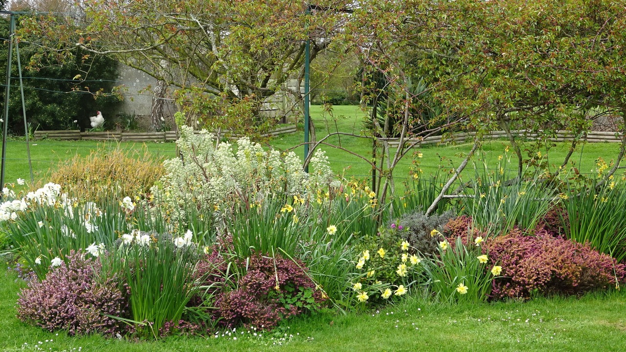 Photo of Outdoor in Formigny