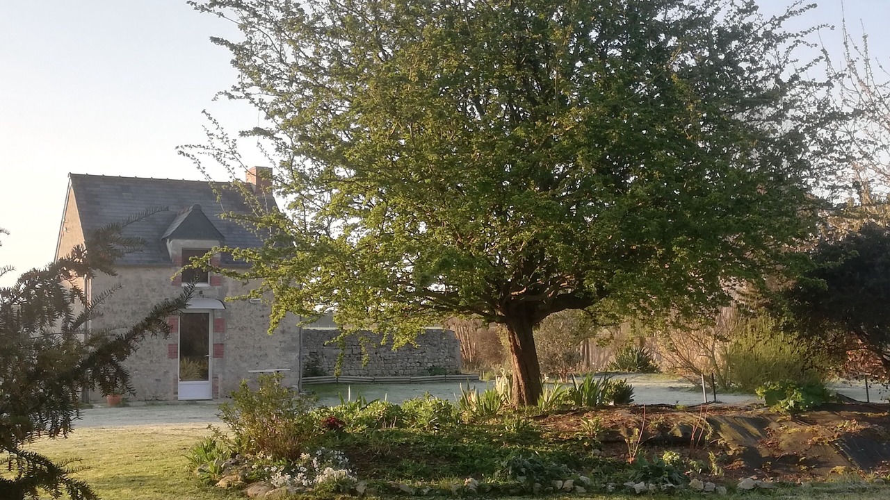 Photo of Bedroom in Formigny