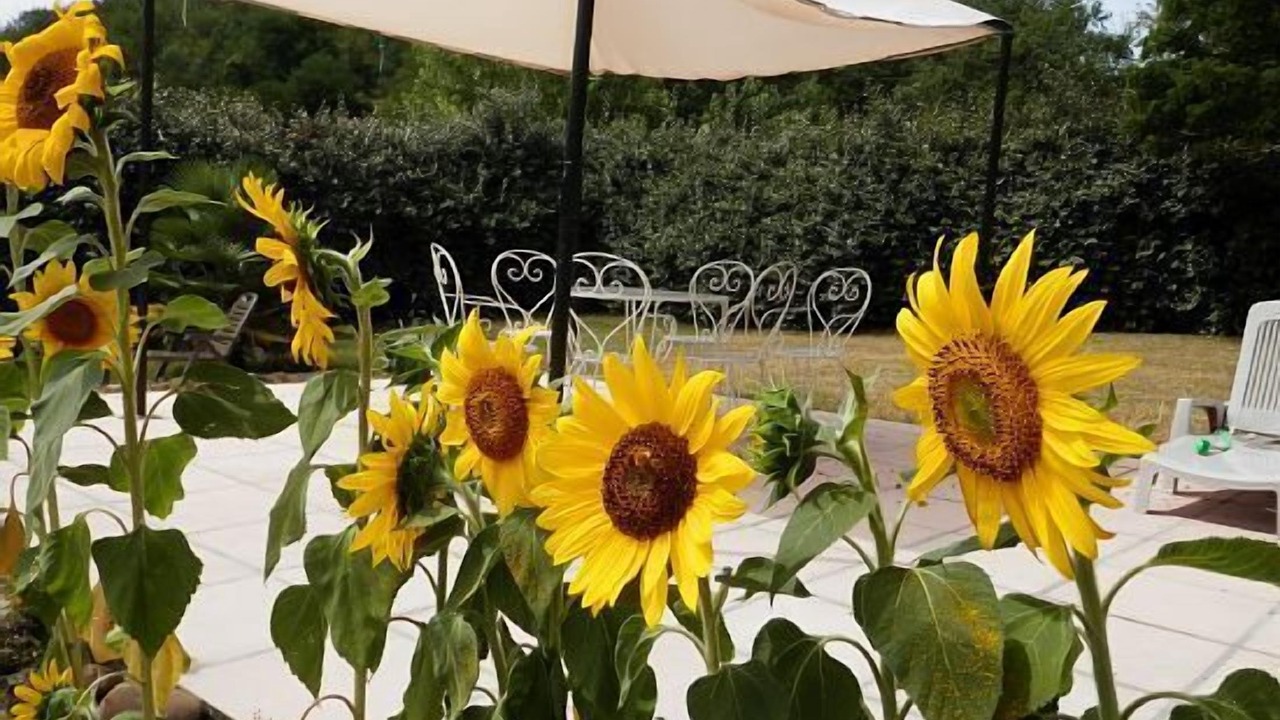 Photo of Outdoor in Saint-Benoit