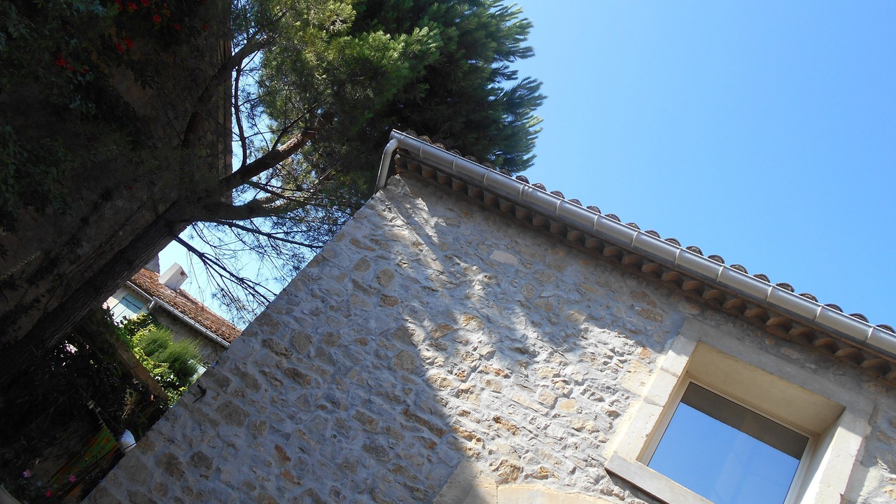 Photo of Outdoor in Canet