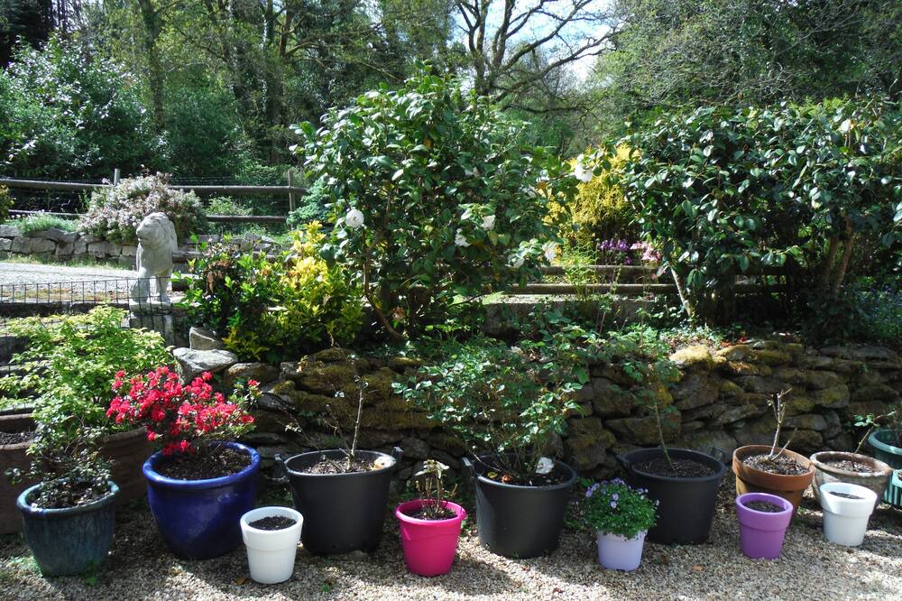 Photo of Outdoor in Huelgoat