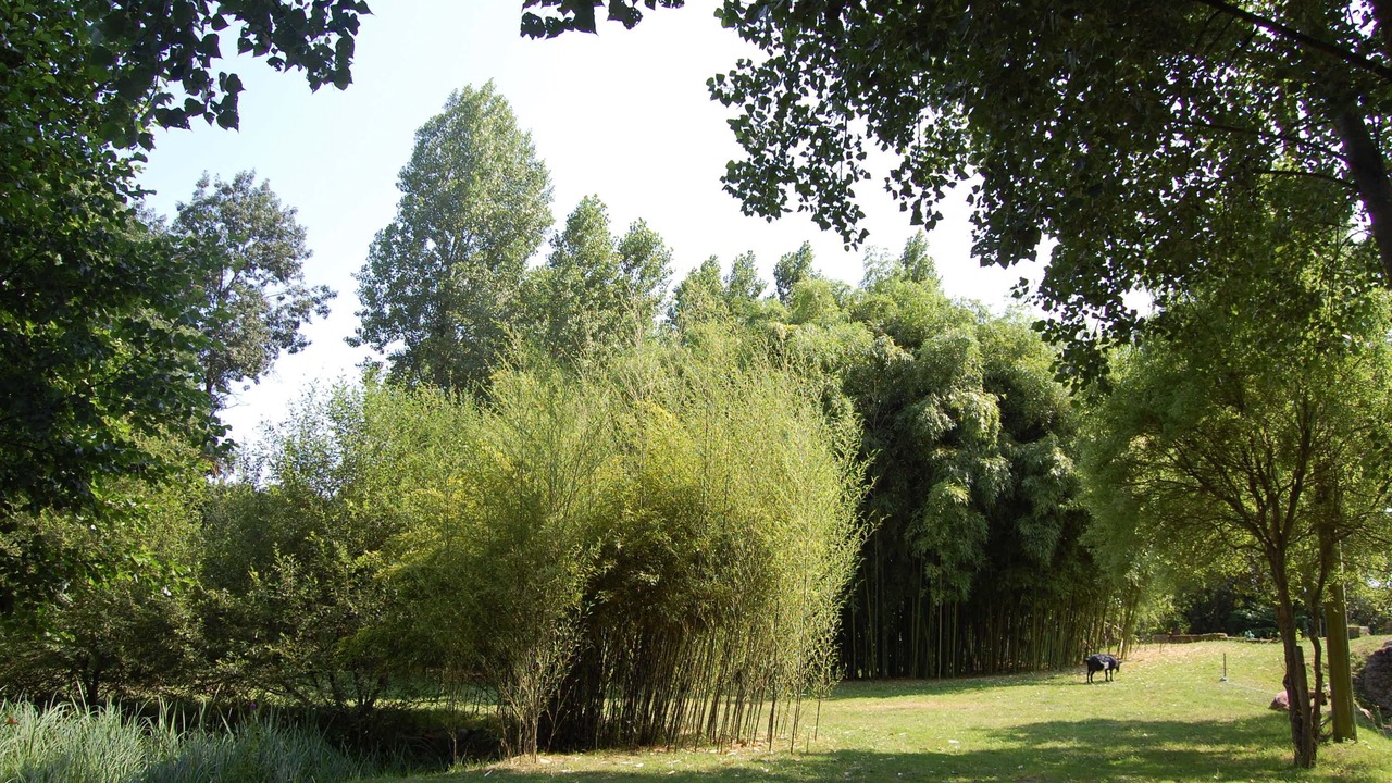 Photo of Outdoor in Savigne-sous-le-Lude