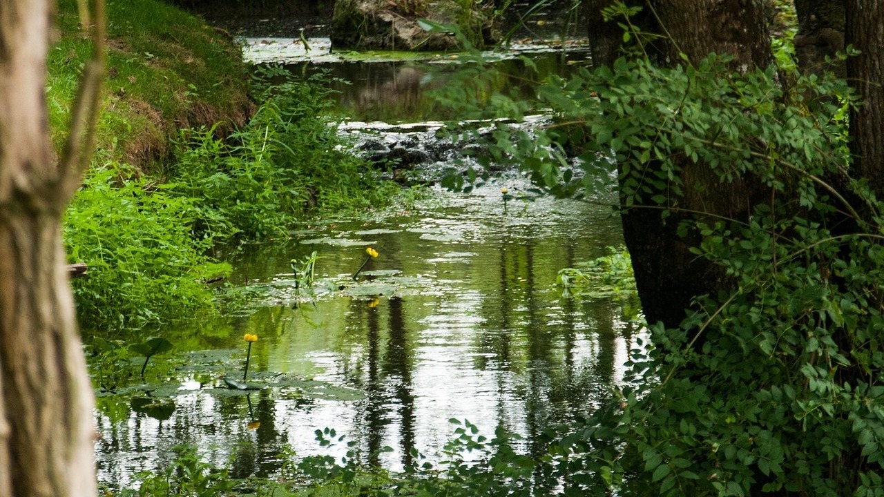 Photo of Outdoor in Savigne-sous-le-Lude