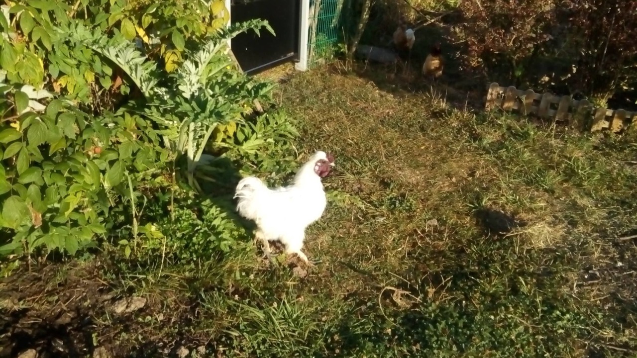 Photo of Outdoor in Chatillon-sur-Broue