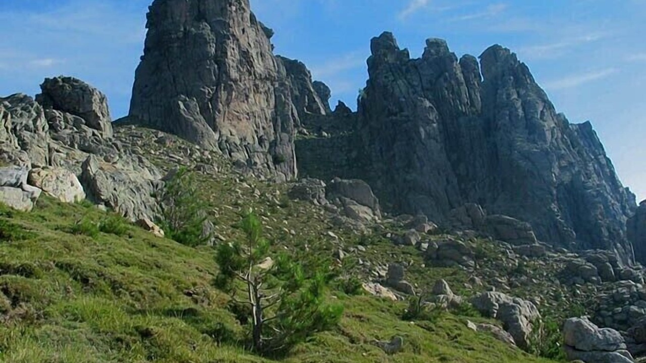 Photo of Outdoor in Olmeto