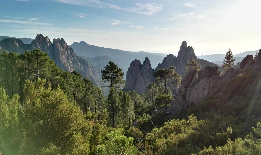 Photo of Outdoor in Olmeto