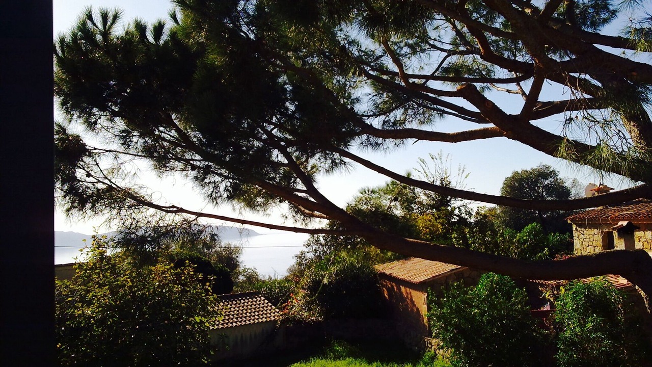 Photo of Outdoor in Coti-Chiavari