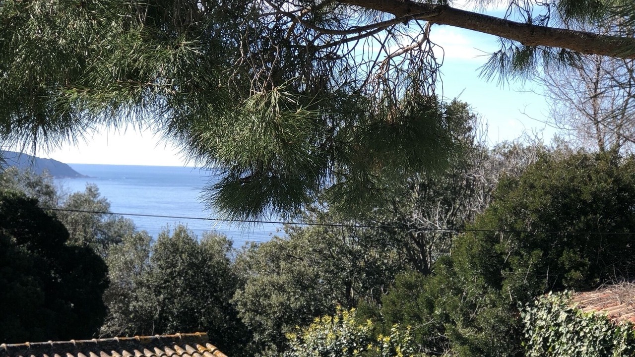 Photo of Outdoor in Coti-Chiavari