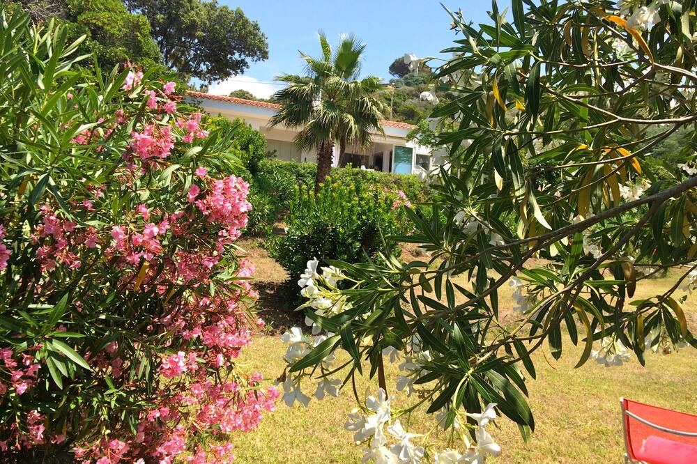 Photo of Outdoor in Calcatoggio