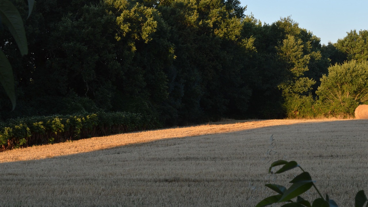 Photo of Outdoor in Loubezs-Bernac
