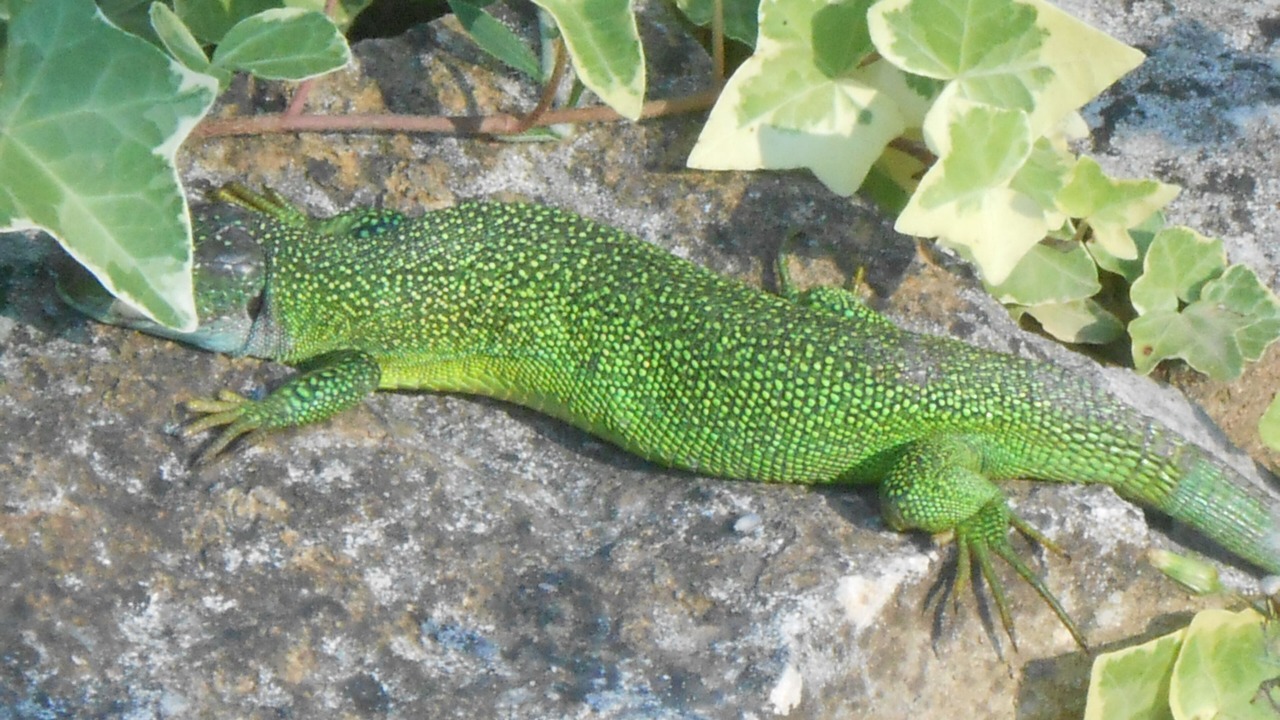 Photo of Outdoor in Abjat-sur-Bandiat