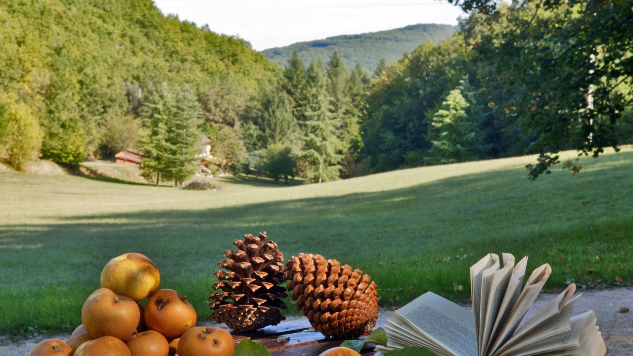 Photo of Outdoor in Souillac