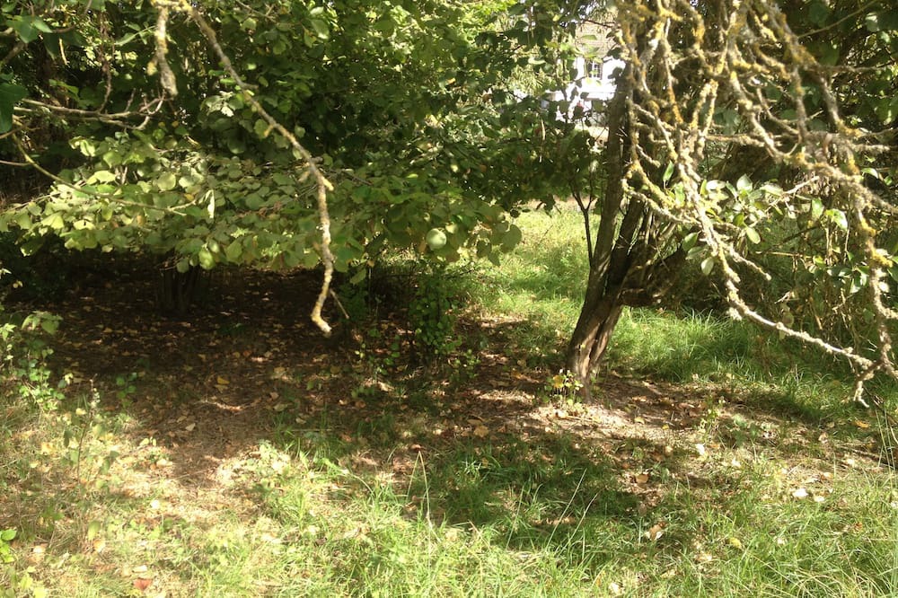 Photo of Outdoor in Maves